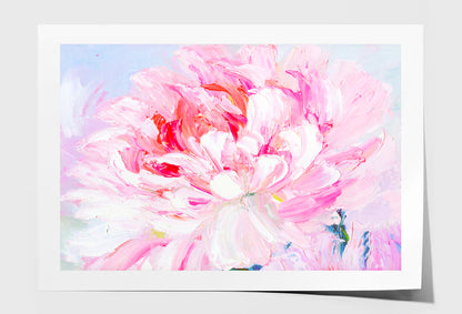 Pink and White Peony Oil Painting Wall Art Limited Edition High Quality Print Unframed Roll Canvas None