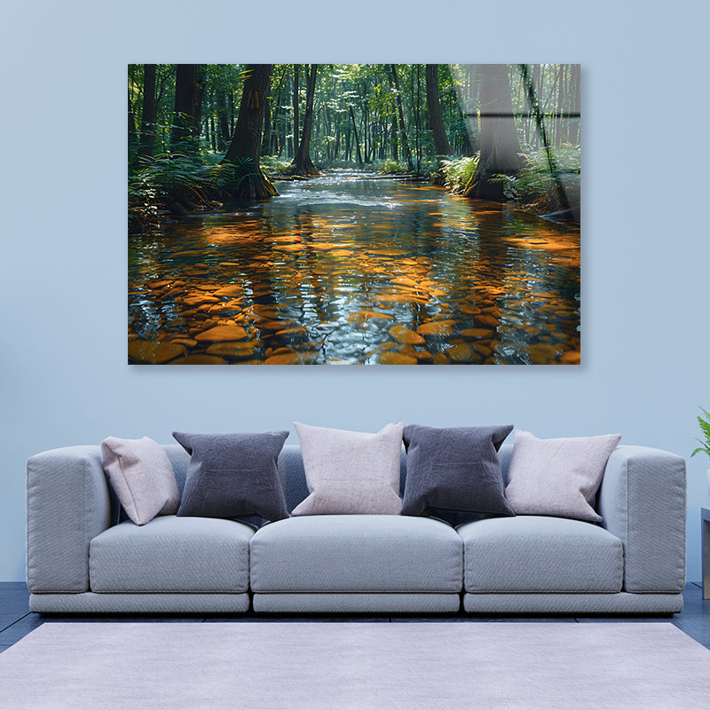 View of Forest in the Morning Acrylic Glass Print Tempered Glass Wall Art 100% Made in Australia Ready to Hang