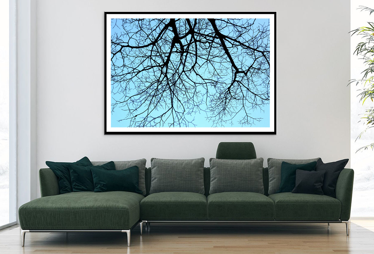 Branches of a Tree against the Sky in winter Home Decor Premium Quality Poster Print Choose Your Sizes