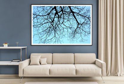 Branches of a Tree against the Sky in winter Home Decor Premium Quality Poster Print Choose Your Sizes