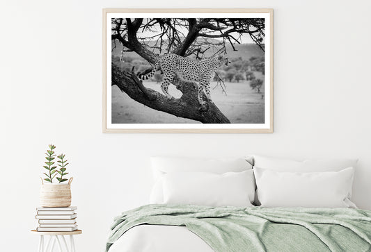 View of Cheetah Stands in Tree in Grassland Home Decor Premium Quality Poster Print Choose Your Sizes