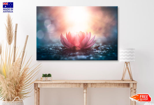 Pink Flower On Water & Sunlight View Wall Art Decor 100% Australian Made