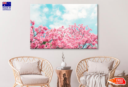 Kawazu Cherry Blossoms Tree & Sky View  Wall Art Decor 100% Australian Made