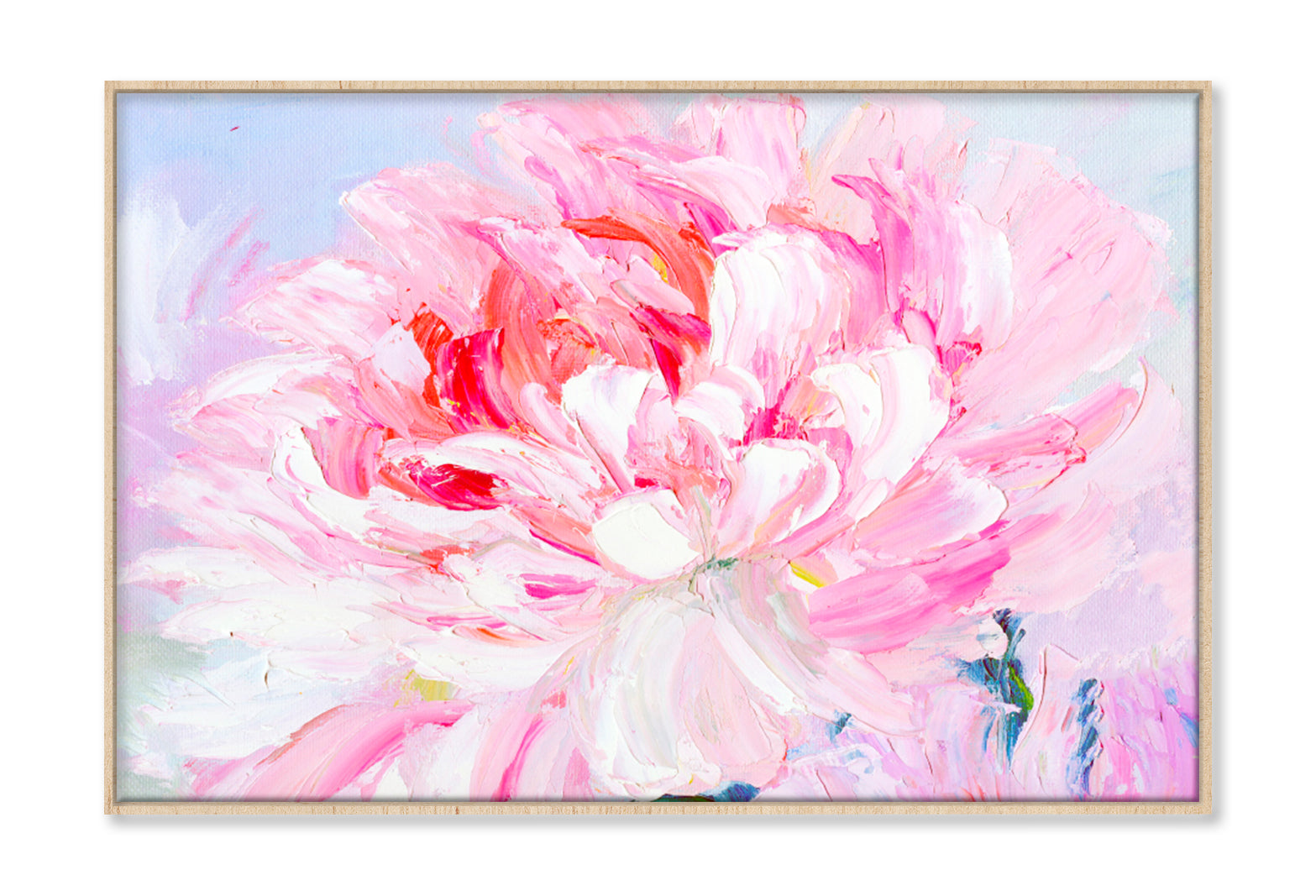 Pink and White Peony Oil Painting Wall Art Limited Edition High Quality Print Canvas Box Framed Natural