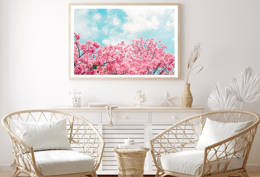 Kawazu Cherry Blossoms Tree & Sky View Home Decor Premium Quality Poster Print Choose Your Sizes