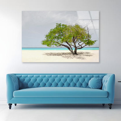 Tree In Beach Acrylic Glass Print Tempered Glass Wall Art 100% Made in Australia Ready to Hang