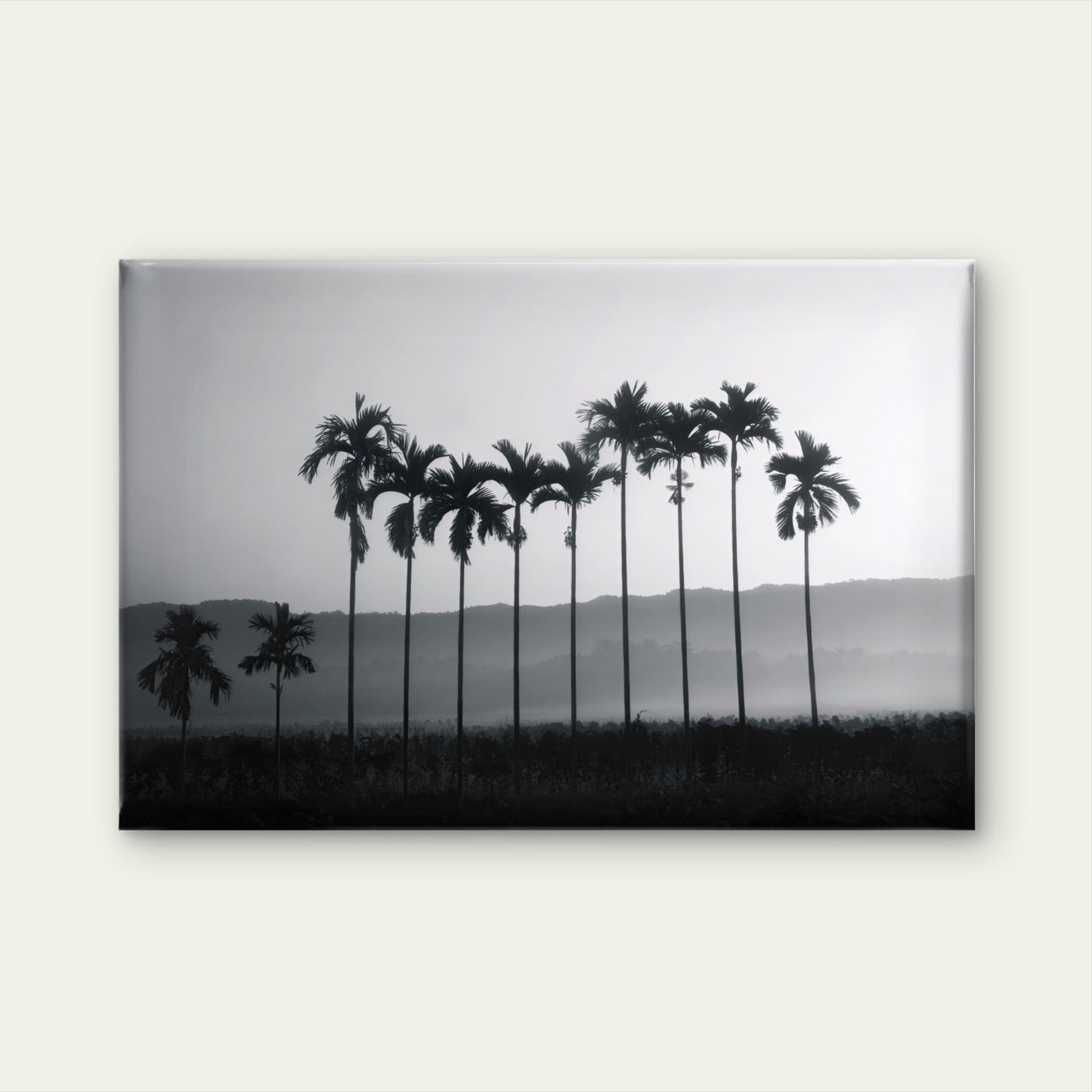 Betel Nut Palm Trees Thailand Wall Art Decor 100% Australian Made