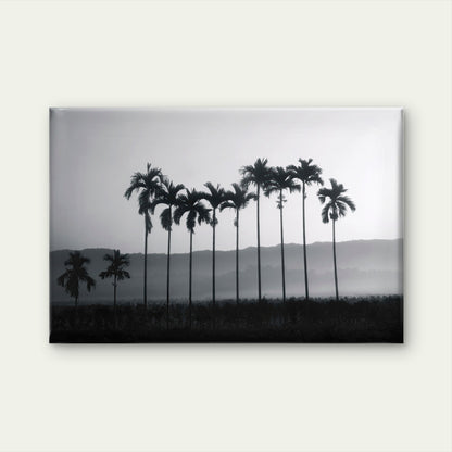 Betel Nut Palm Trees Thailand Wall Art Decor 100% Australian Made