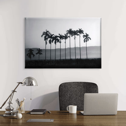 Betel Nut Palm Trees Thailand Wall Art Decor 100% Australian Made