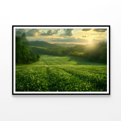 Green Field with Sun Rays Home Decor Premium Quality Poster Print Choose Your Sizes