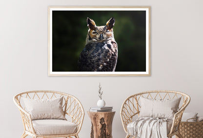 South American Great Horned Owl Close up View Home Decor Premium Quality Poster Print Choose Your Sizes