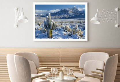 Cactus in a Snowy with Sky and Mountain Home Decor Premium Quality Poster Print Choose Your Sizes