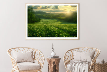 Green Field with Sun Rays Home Decor Premium Quality Poster Print Choose Your Sizes