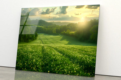 Green Field with Sun Rays Acrylic Glass Print Tempered Glass Wall Art 100% Made in Australia Ready to Hang