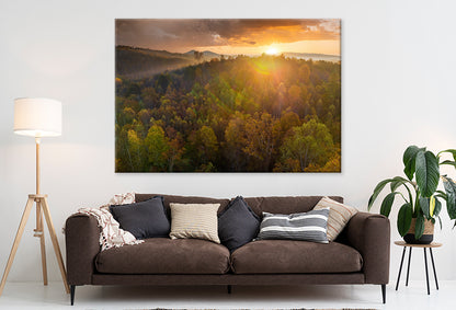 Autumn Woods at Sunset Glow Wall Art Decor 100% Australian Made