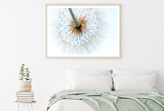 Dandelion With Seeds Blowing in The Wind Home Decor Premium Quality Poster Print Choose Your Sizes