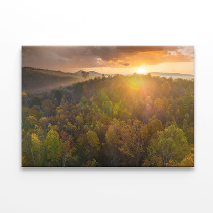 Autumn Woods at Sunset Glow Wall Art Decor 100% Australian Made
