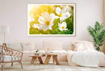 White Flowers Close-Up View In Garden Home Decor Premium Quality Poster Print Choose Your Sizes