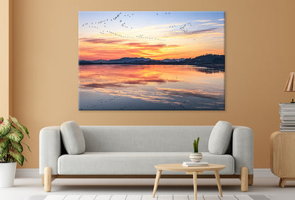 Winter Morning at Junam Reservoir  Wall Art Decor 100% Australian Made