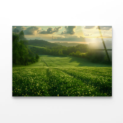 Green Field with Sun Rays Acrylic Glass Print Tempered Glass Wall Art 100% Made in Australia Ready to Hang