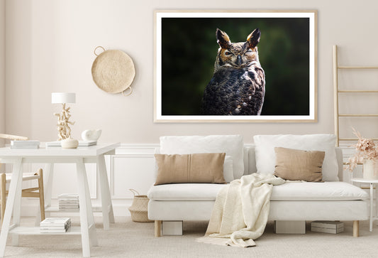 South American Great Horned Owl Close up View Home Decor Premium Quality Poster Print Choose Your Sizes