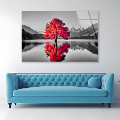 Tree In the Middle of a Lake Acrylic Glass Print Tempered Glass Wall Art 100% Made in Australia Ready to Hang