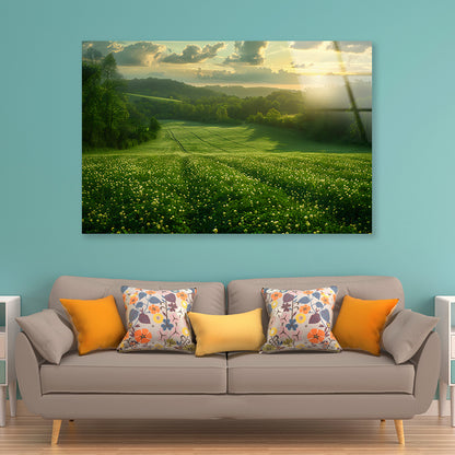 Green Field with Sun Rays Acrylic Glass Print Tempered Glass Wall Art 100% Made in Australia Ready to Hang