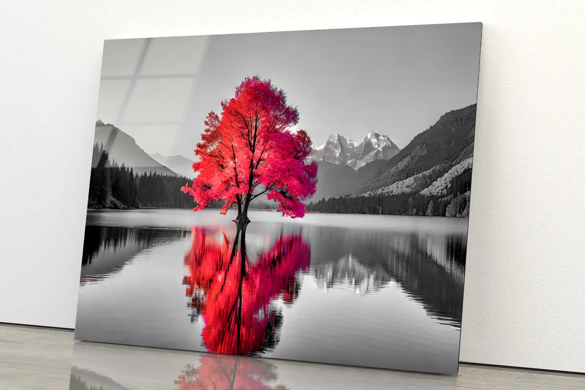 Tree In the Middle of a Lake Acrylic Glass Print Tempered Glass Wall Art 100% Made in Australia Ready to Hang