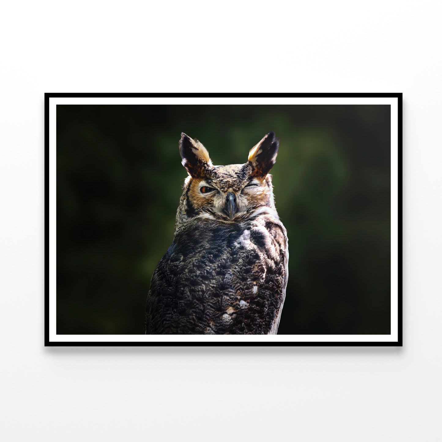 South American Great Horned Owl Close up View Home Decor Premium Quality Poster Print Choose Your Sizes