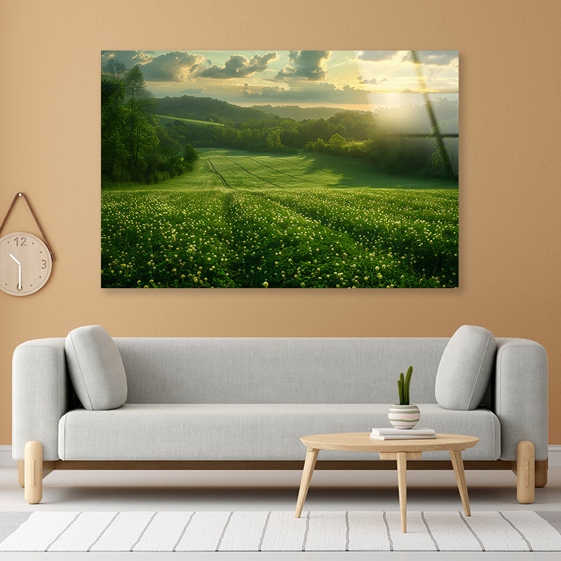 Green Field with Sun Rays Acrylic Glass Print Tempered Glass Wall Art 100% Made in Australia Ready to Hang