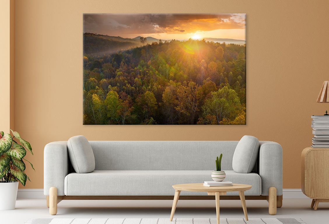 Autumn Woods at Sunset Glow Wall Art Decor 100% Australian Made