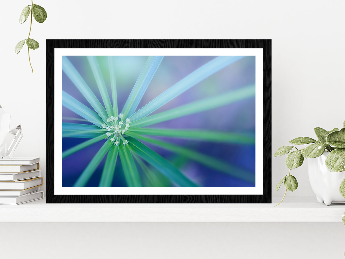 Palm Leaf Macro View Nature Glass Framed Wall Art, Ready to Hang Quality Print With White Border Black