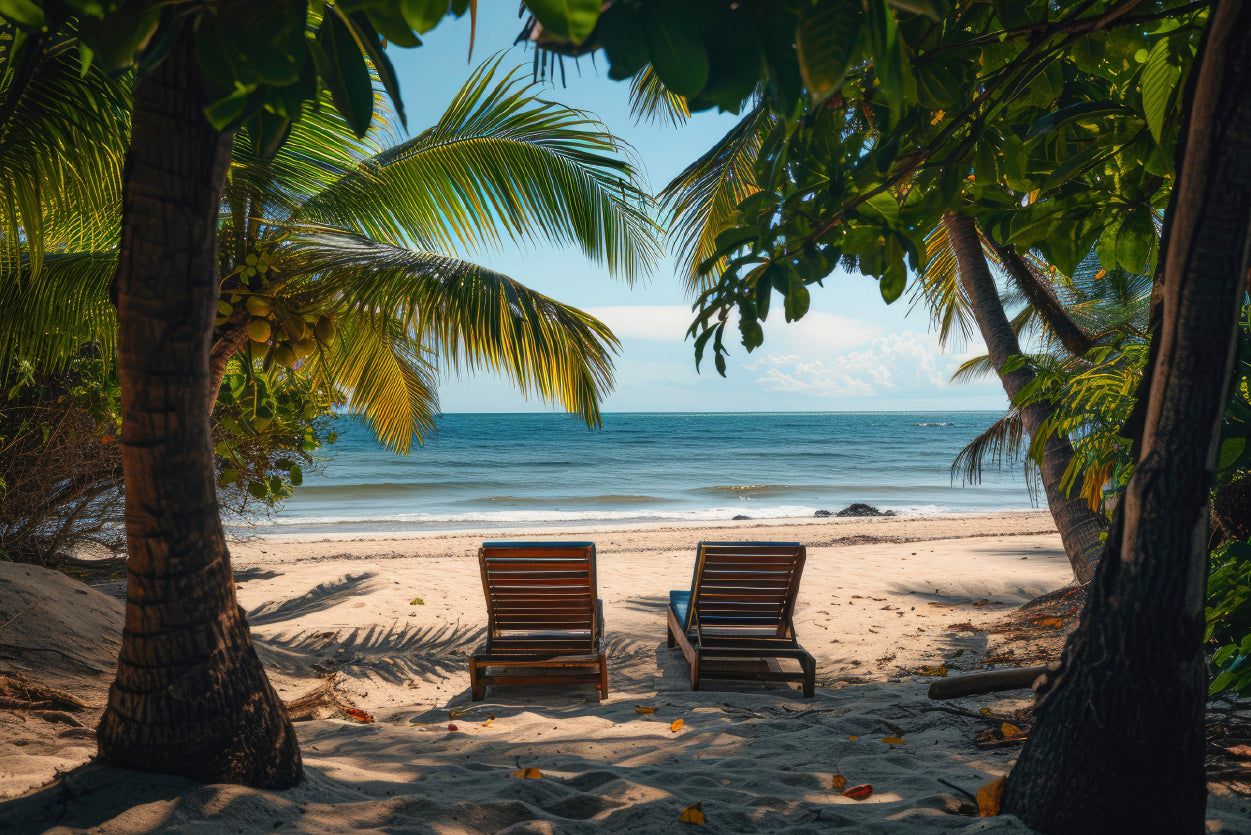 Coconut Trees and Beach Chairs Home Decor Premium Quality Poster Print Choose Your Sizes