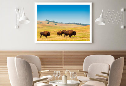 Herd of Buffalo Home Decor Premium Quality Poster Print Choose Your Sizes