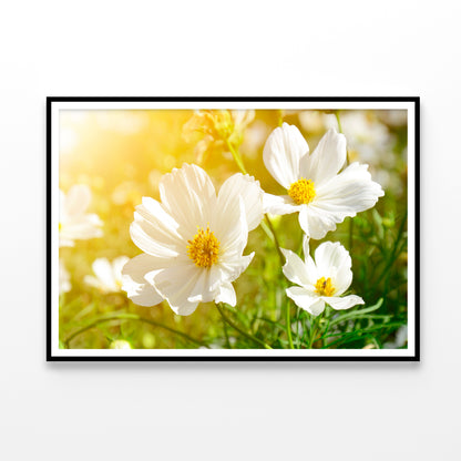 White Flowers Close-Up View In Garden Home Decor Premium Quality Poster Print Choose Your Sizes