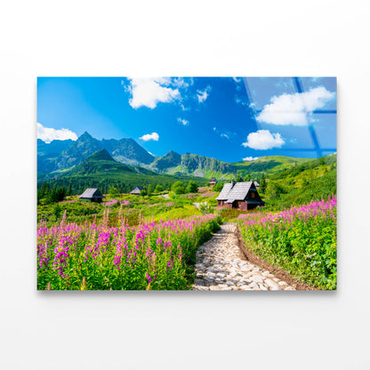 Path through Flowers Meadow Acrylic Glass Print Tempered Glass Wall Art 100% Made in Australia Ready to Hang