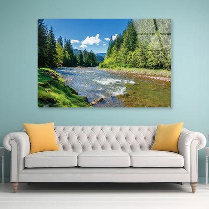 River among Spruce Forest Acrylic Glass Print Tempered Glass Wall Art 100% Made in Australia Ready to Hang