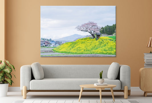 Ozawa Cherry Tree in Tamura City, Japan  Wall Art Decor 100% Australian Made
