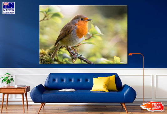 Bird In Family Turdidae, With Beak Open in Profile  Wall Art Decor 100% Australian Made