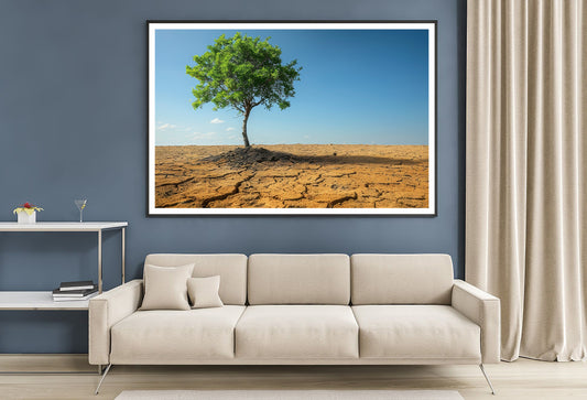 A Tree Is Standing In a Barren Desert Home Decor Premium Quality Poster Print Choose Your Sizes