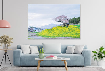 Ozawa Cherry Tree in Tamura City, Japan  Wall Art Decor 100% Australian Made
