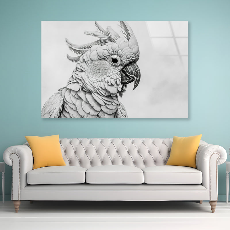 Sketch Of Cockatoo Bird in White Acrylic Glass Print Tempered Glass Wall Art 100% Made in Australia Ready to Hang