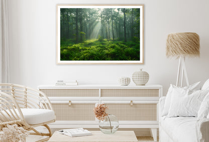 Misty Morning in the Forest Home Decor Premium Quality Poster Print Choose Your Sizes