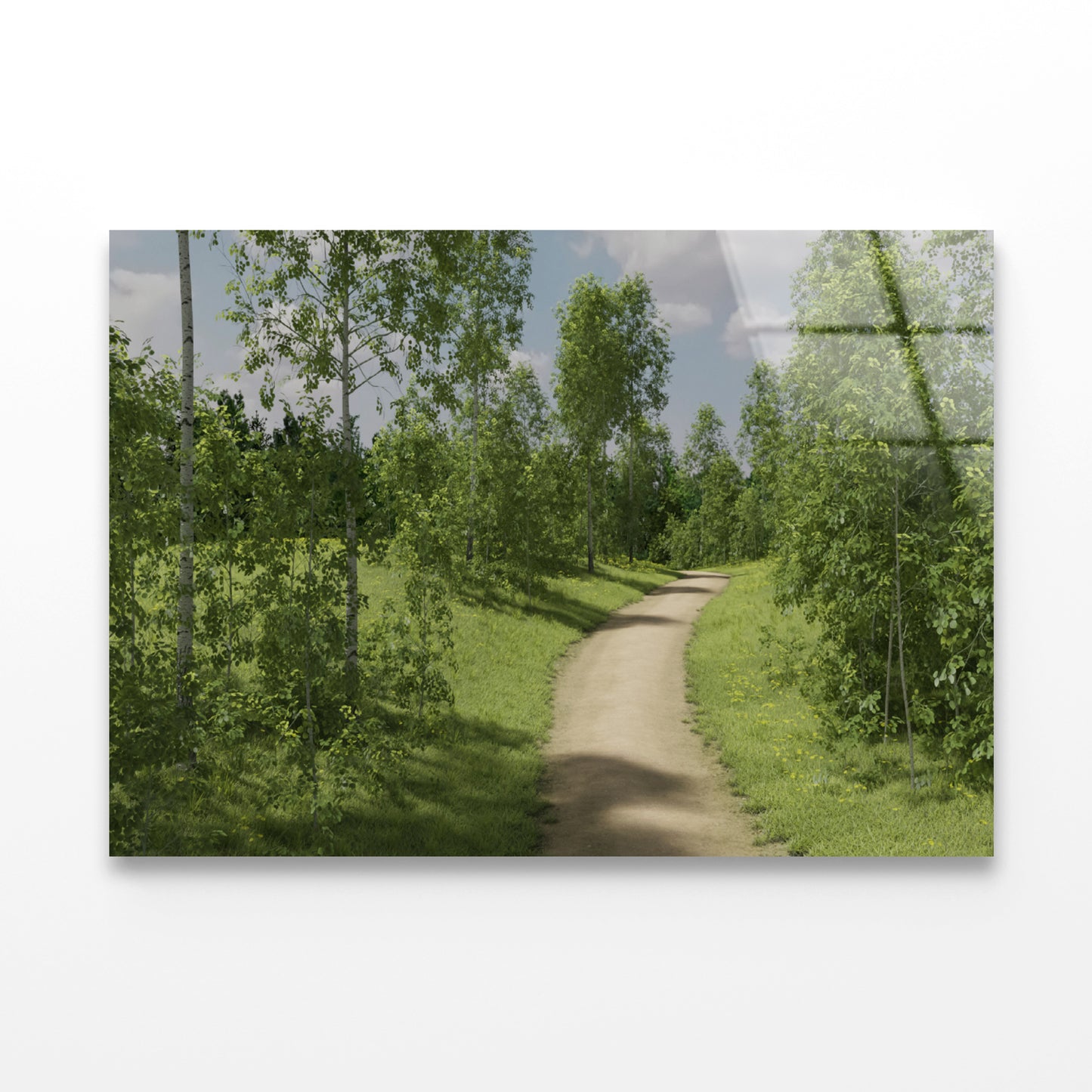 Path Surrounded By Trees of the Forest Acrylic Glass Print Tempered Glass Wall Art 100% Made in Australia Ready to Hang