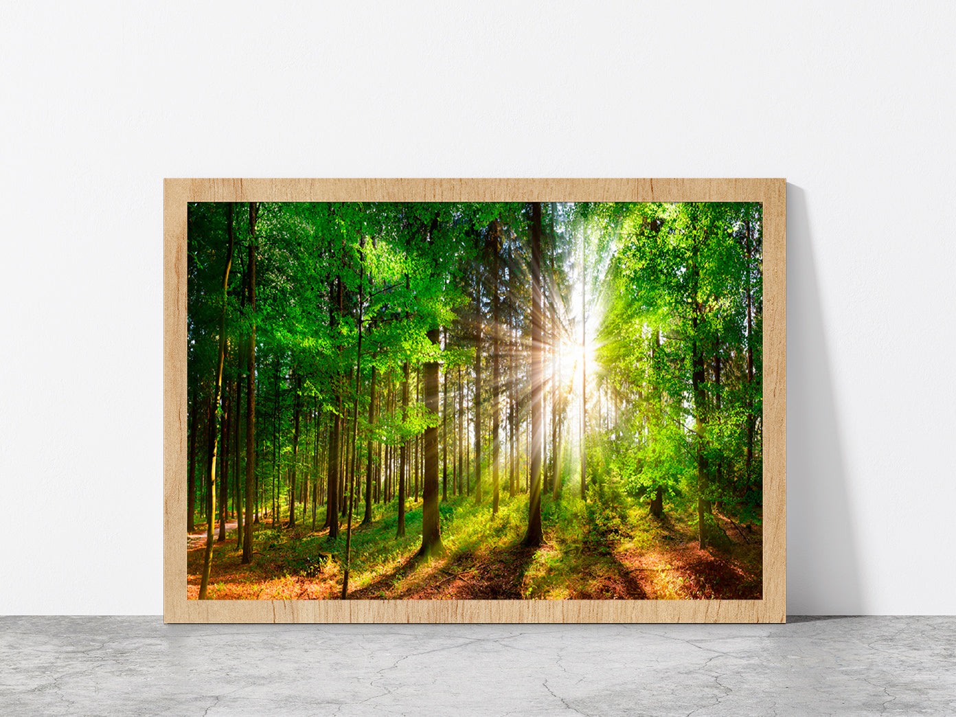 Sunlight Shining In Forest Glass Framed Wall Art, Ready to Hang Quality Print Without White Border Oak