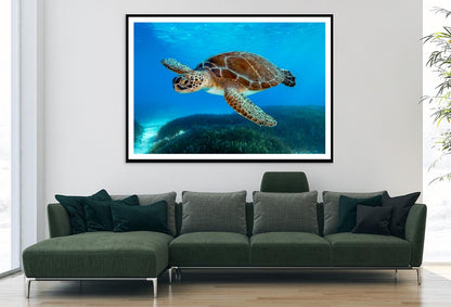 Turtle Swimming in The Ocean with A Lot of Water Home Decor Premium Quality Poster Print Choose Your Sizes