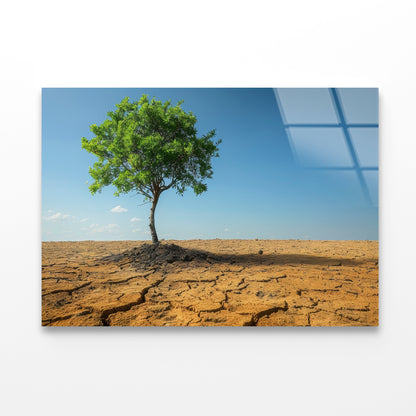 A Tree Is Standing In a Barren Desert Acrylic Glass Print Tempered Glass Wall Art 100% Made in Australia Ready to Hang