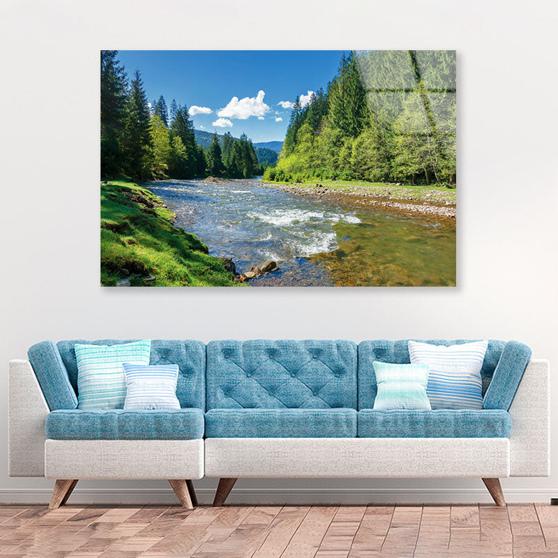 River among Spruce Forest Acrylic Glass Print Tempered Glass Wall Art 100% Made in Australia Ready to Hang