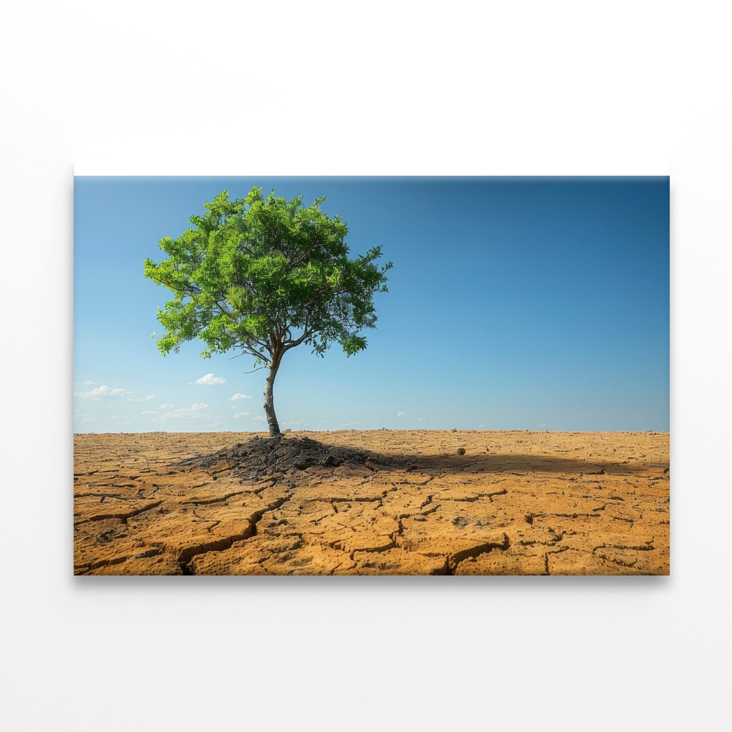 A Tree Is Standing In a Barren Desert Print 100% Australian Made