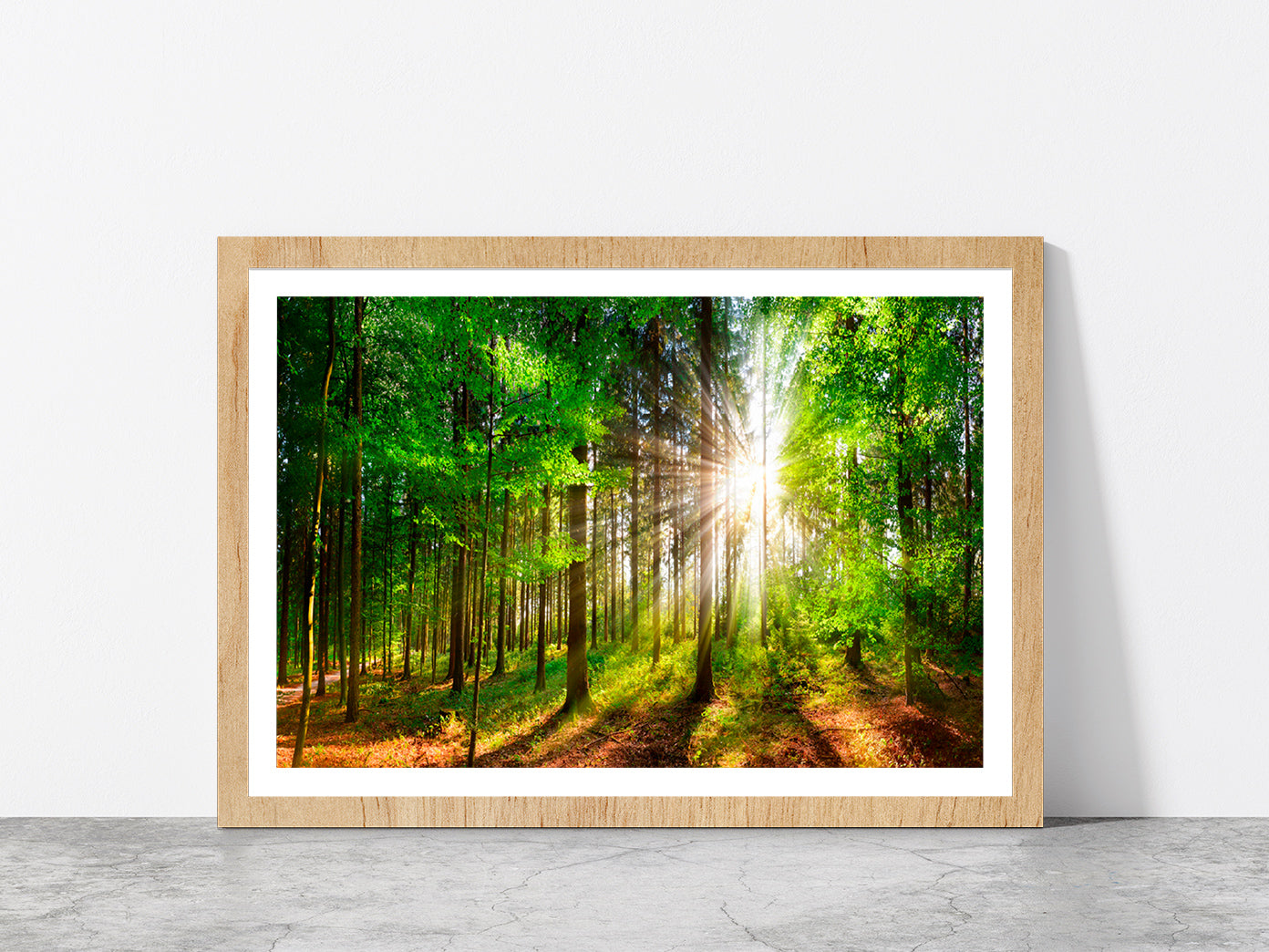 Sunlight Shining In Forest Glass Framed Wall Art, Ready to Hang Quality Print With White Border Oak